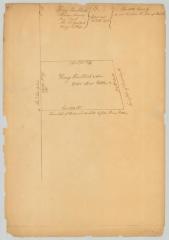 Survey of land for Henry Van Vleek. 5,000 acres on Wood creek, 12 miles east from falls. Charlotte County. Map #602