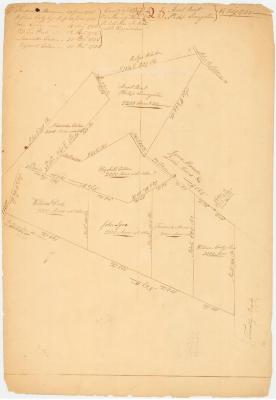 Map of the Town of Livingston. Map #233