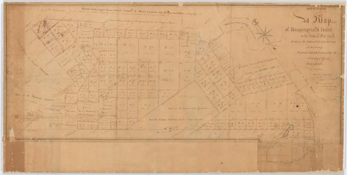 Map of unappropriated lands in theTowns of Windham, Catskill, Canton and Freehold. Map #216A