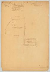 Survey of land for John Lawrence. 1,000 acres and 4,000 acres. Charlotte County. Map #603