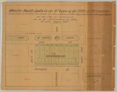 State Salt Lots, 3rd Ward, Syracuse, 1886. Map #516