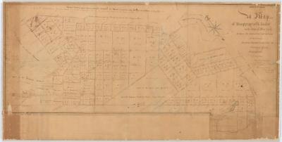 Map of unappropriated lands in theTowns of Windham, Catskill, Canton and Freehold. Map #216A