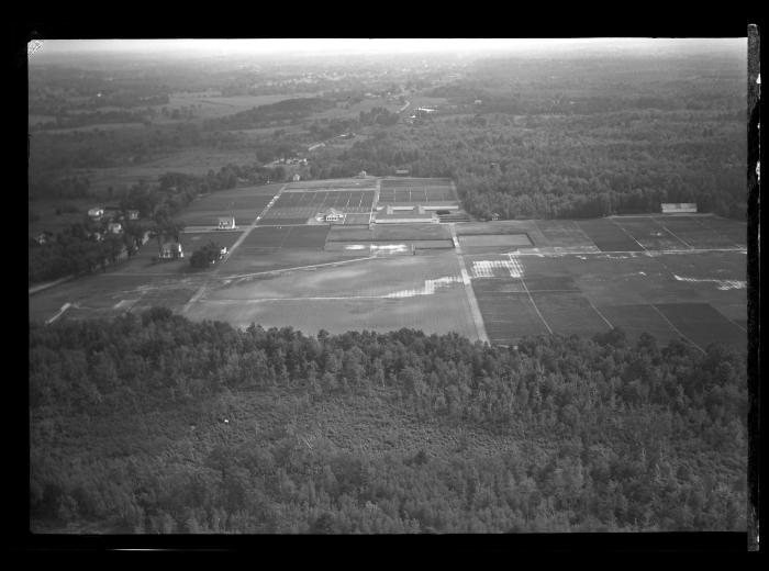 Saratoga Nursery, Aerial View