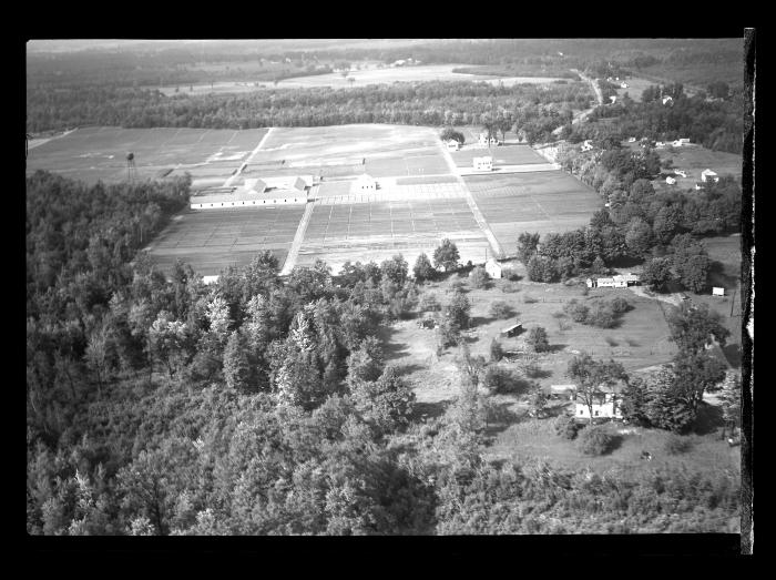 Saratoga Nursery, Aerial View