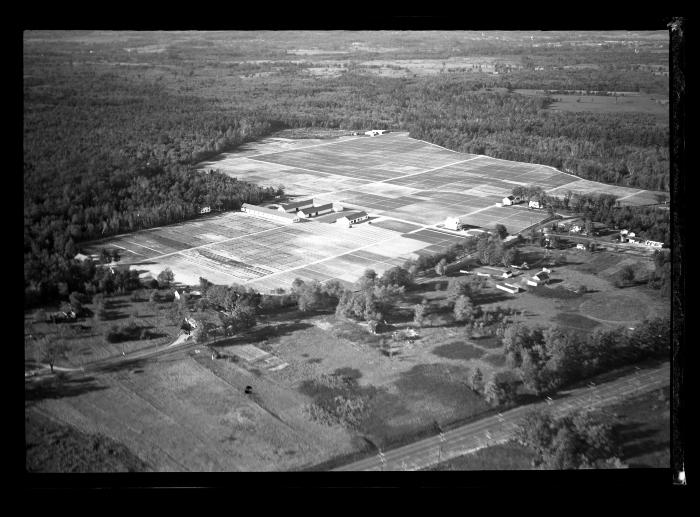 Saratoga Nursery, Aerial View