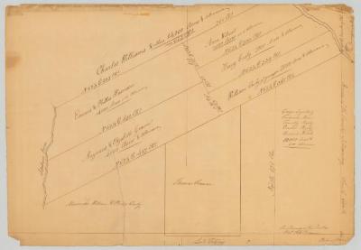 Survey of land for Edward Harrison and others. Map #627A