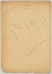 Survey of Henry White and Thomas Wharton on the Coogquago branch of the Delaware river. Map #656