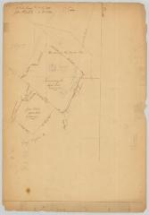 Survey of land for Theobald Young, 14,000 acres and John McNeile, 5,928 acres. Map #665