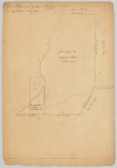 Survey of land for John Butler, 47,000 acres on Tianaderha creek. Map #653