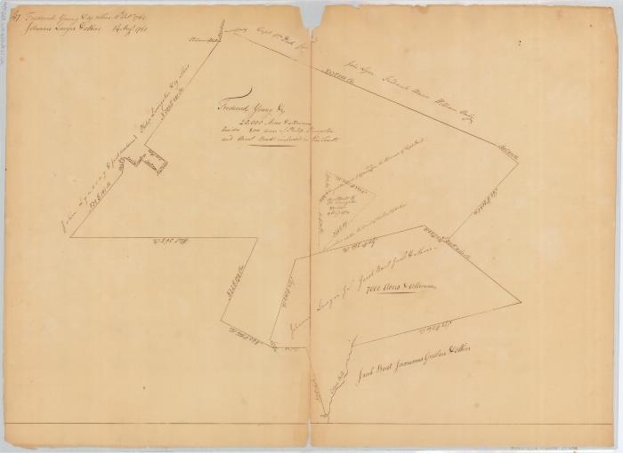 Survey of land for Fred'k Young, Lawyer and Borst. Map #644
