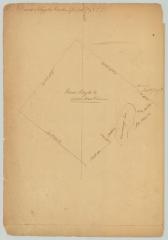 Survey of land for David Schuyler, 43,000 acres. Map #666