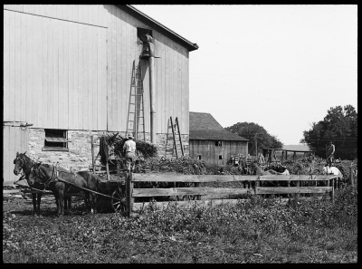 Agriculture - Filling a Silo in Utica