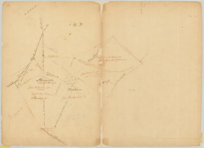 Map of Stroughburgh, granted to John Butler, also Blenhiem, granted to John Weatherhead and others. Map #709