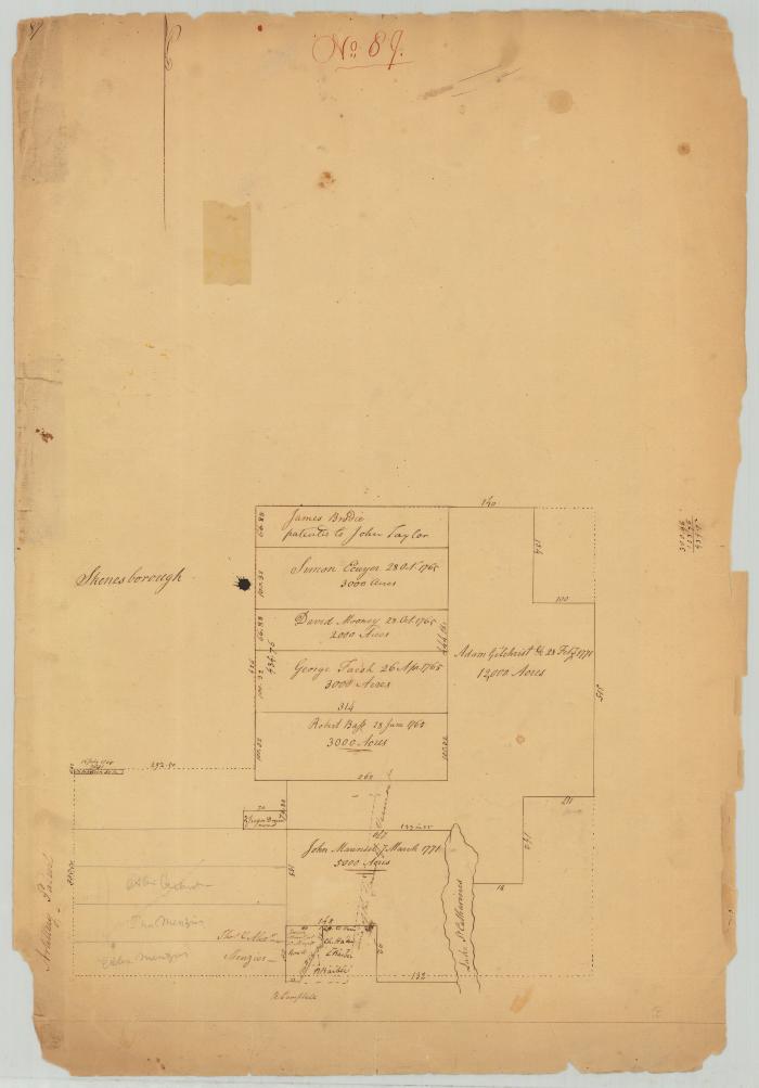 Survey of land for Adam Gilchrist and others, lying east from Skeenesborough Patent. Map #701