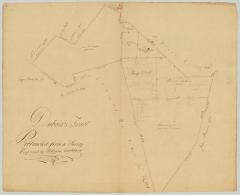 Map of DuBois's Tract from a survey by Wm. Cockburn. Map #729