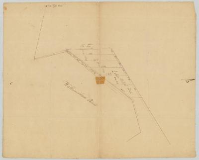 Map of Lake's Patent adjoining Wallumschack Patent. Map #770B