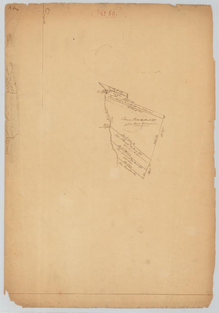 Survey of land for Thomas Porter, Niel McDonald, Pater Garland and others. Map #698