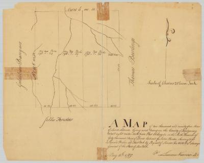 Land of Leonard Fisher, 2,095 acres, Montgomery county; west of map No. 738. Map #740