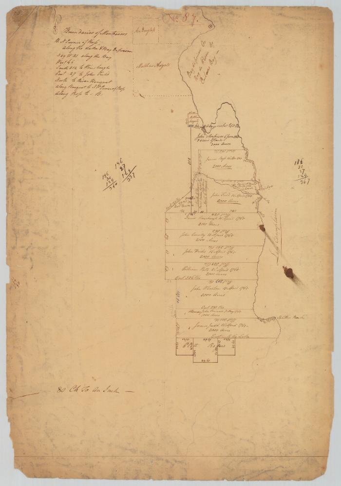 Survey of land for various persons on west side of Lake Champlain. Map #699