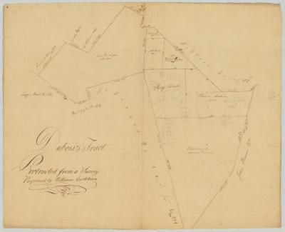 Map of DuBois's Tract from a survey by Wm. Cockburn. Map #729