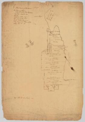 Survey of land for various persons on west side of Lake Champlain. Map #699