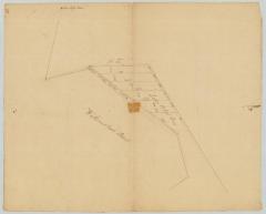 Map of Lake's Patent adjoining Wallumschack Patent. Map #770B