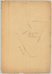 Survey of land for John Butler et al.; 24,000 acres. Map #688