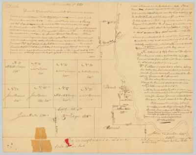 Survey of land for Andrew Thompson, John Watts and others; adjacent to the Pennsylvania line. Map #816