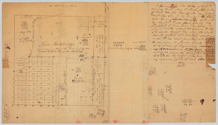 Map of New Stockbridge, Oneida county, and subdivisions. Map #801