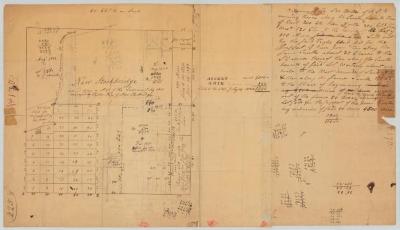 Map of New Stockbridge, Oneida county, and subdivisions. Map #801