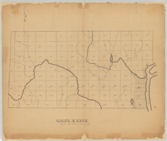 Galen, No. 27, Wayne county. Map #857