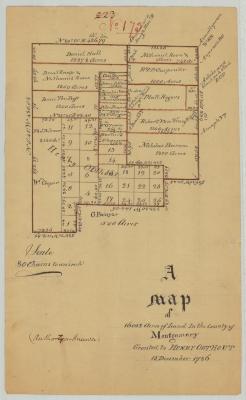 Map of Henry Outhout Patent; 16,052 acres, in Montgomery county. Map #804