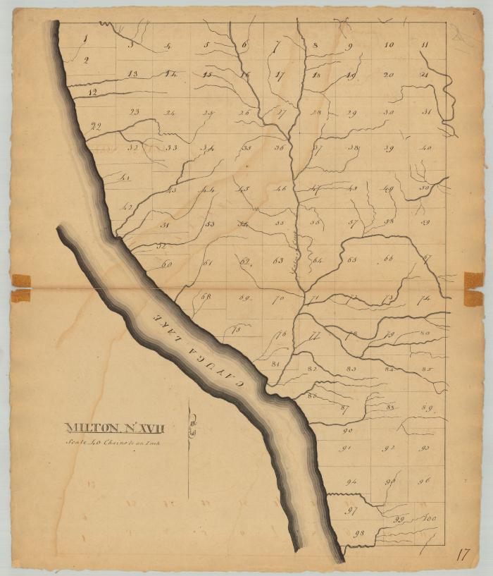 Milton, No. 17, Tompkins and Cayuga counties. Map #847