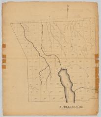 Aurelius, No. 8, Cayuga county. Map #838