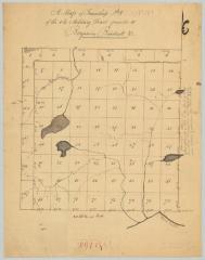 Old Military Tract, Township 3, Clinton county; granted to Benj. Birdsall. Map #799