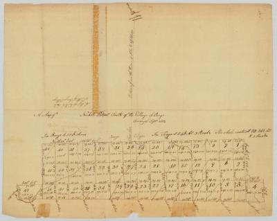 Map of Nichols' Patent, south of Owego, Tioga county; 1802. Map #819