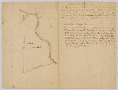 Kingsborough Patent, Lot No. 399, Fulton County. Map #885