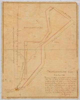 Map of Wawagenank Patent; Aug. 1743; 43,000 acres, Columbia Co. Map #877