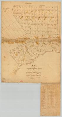 Rudolph Staley's tract, 34,000 acres, also Conradt Frank's tract, 3000 acres at Burnet Field. Map #873