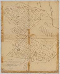 Map of grants to Philip Livingston and Frederick Young. Map #894