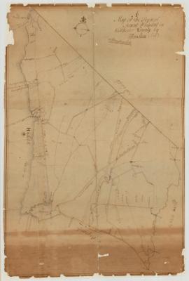 Map of the Town of Mount Pleasant. Map #418
