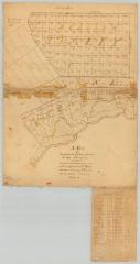 Rudolph Staley's tract, 34,000 acres, also Conradt Frank's tract, 3000 acres at Burnet Field. Map #873