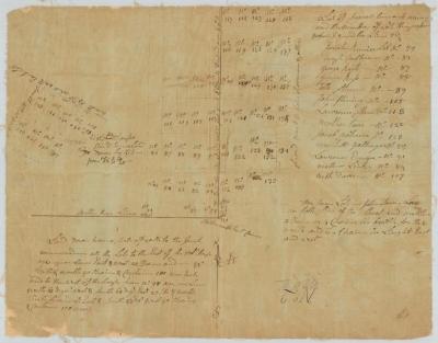 Map of lots in the village of Johnstown, Fulton county. Map #875