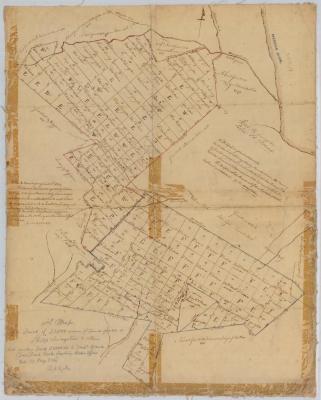 Map of grants to Philip Livingston and Frederick Young. Map #894