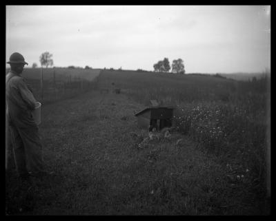 Brownville State Game Farm, Jefferson County