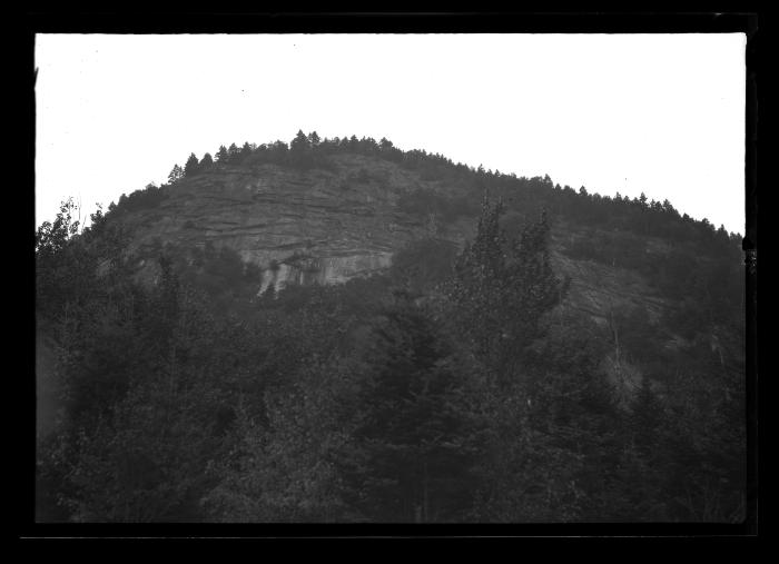 Moxham Mountain, West Side of Road above North Creek