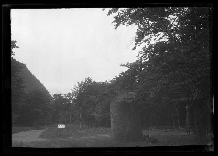 Devil's Tombstone Campsite, Stony Clove, (Catskills)