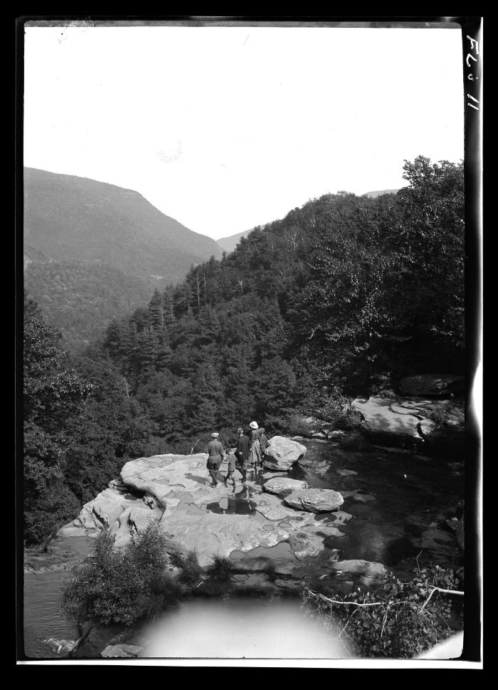 On the Rocky Brow of Haines Falls