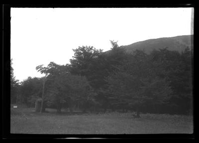 Devil's Tombstone Campsite, Stony Clove, (Catskills)