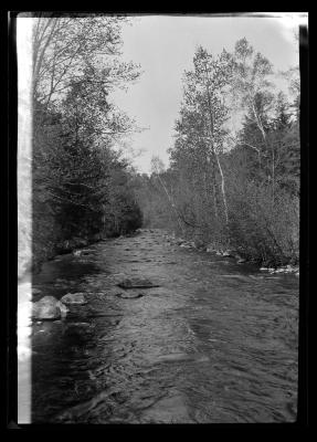 The Neversink, Catskills